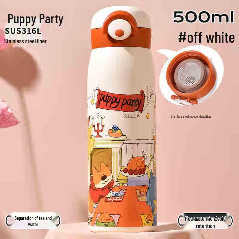 Dileber Stylish Insulated Water Bottle 500ML