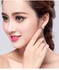 925 Silver  Single Row Crystal Women Korean Fashion Round Earrings New Gold Color Ear Jewelry