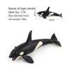 Realistic Blue Whale Pvc Marine Animal Figures For Educational Toys And Display