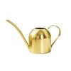 Golden 500ML Stainless Steel Watering Can with Long Spout - Green Plant Sprayer & Small Garden Sprinkler