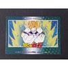 Dragon Ball Amada PP Card Carddass Son Goku [Rare]