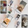 Cute Cat Animal SOFT Cell Phone Case for Samsung Galaxy S26 Ultra S25 S24 S23 S22 S21 S20 Note10 Cover