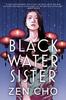 The Black Water Sister Book
