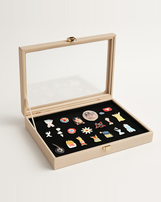 გამჭვირვალე გადასაფარავიანი შესანახი ყუთი ბეჯებისთვის, საყურეებისთვის, მედლებისთვის, ბროშებისთვის და მონეტებისთვის