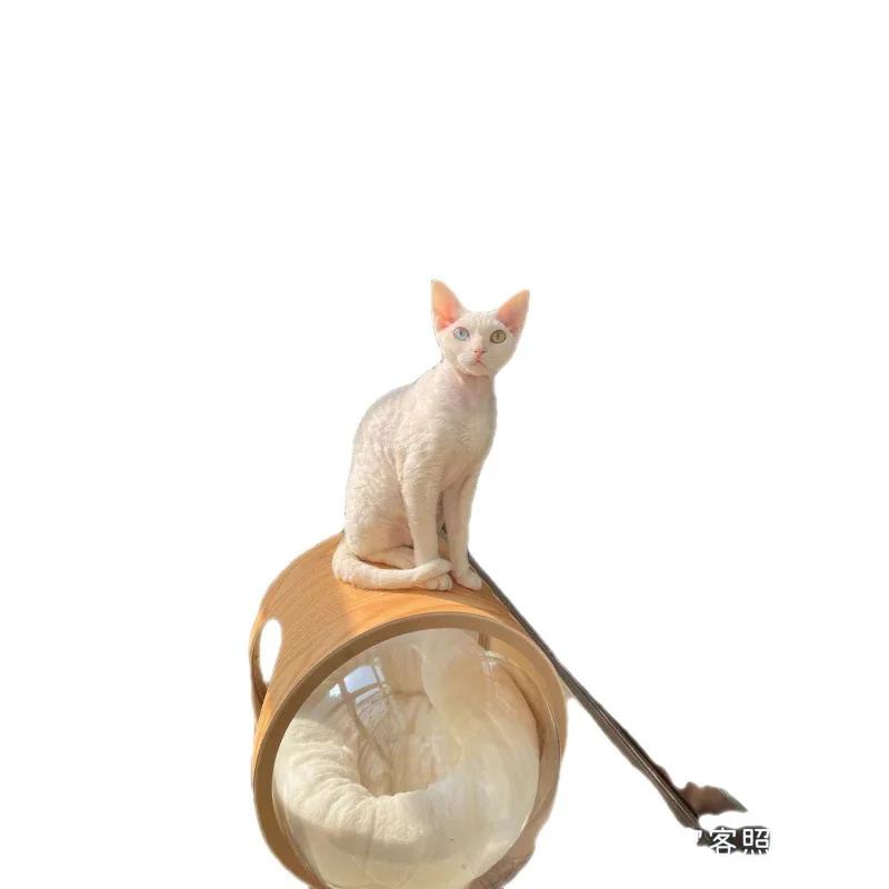 Net red space capsule transparent cat delivery room four seasons universal closed winter cat house solid wood capsule cat litter