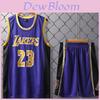 Ensemble de Maillots Purple 24 Lakers Lebron James Adulte Enfants Respirant Uniforme de Basketball Loisir Fitness Sportswear