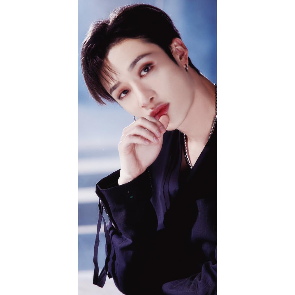

Панорамный постер Stray Kids Банчана Дети Банчана (Бродячий плакат) 700330мм (банчан-04)