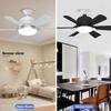 16 "Blade Household Small 3 Speed Adjustment Ceiling Fan Light Ceiling Fan With Light Tri color Dimming Lighting Fan