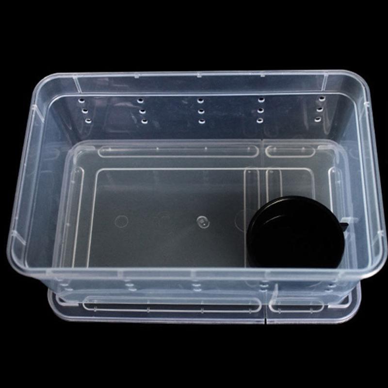 Transparent Feeding Box Reptile Box Amphibian for Snake Cage Lizard Spider Reptile Combination