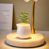 Glass Miniature Potted Plant