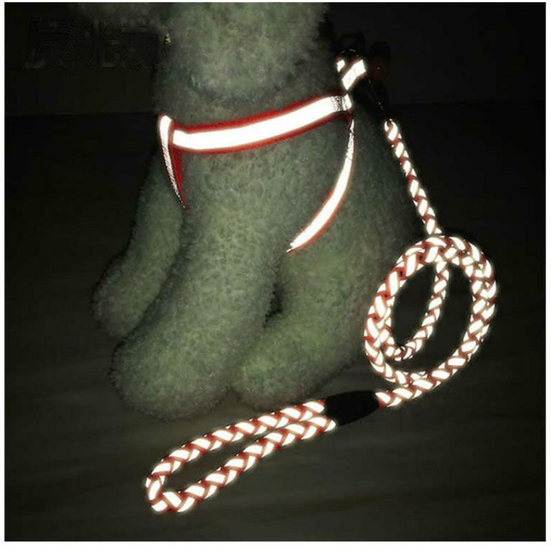 dog walking rope