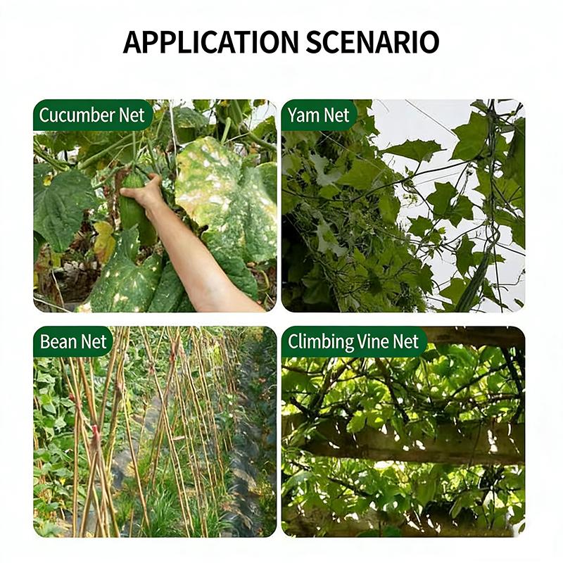 Durable Nylon Garden Climbing Net For Cucumber And Vegetables Heavy-Duty Support Easy To Install