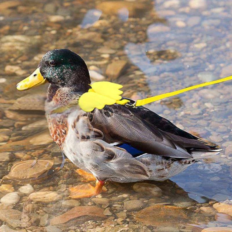 Adjustable Harness Leash Rope Cat and Dog For Duck Small Animals Training Walking Towing Rope Pet Supplies