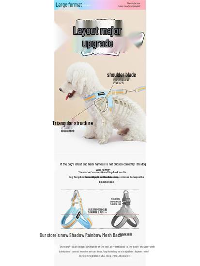 Breathable Color Block Harness & Leash for Small/Medium Dogs - Teddy, Shiba Inu