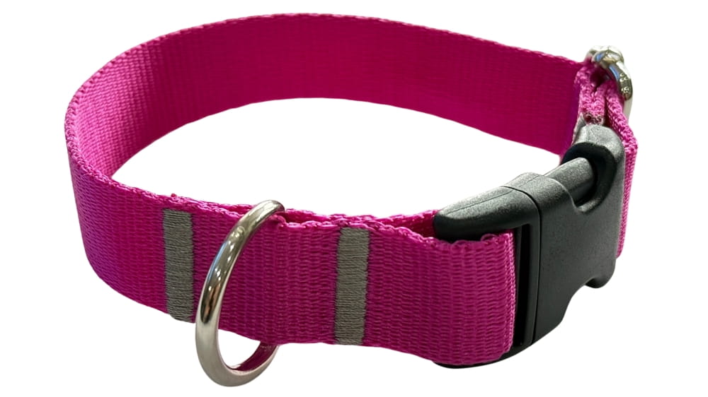 Dog Collar 2 cm with buckle Adjustable Fuchsia Fasten Dog Collar 2 cm with buckle Adjustable Fuchsia Fasten L: 40-55cm