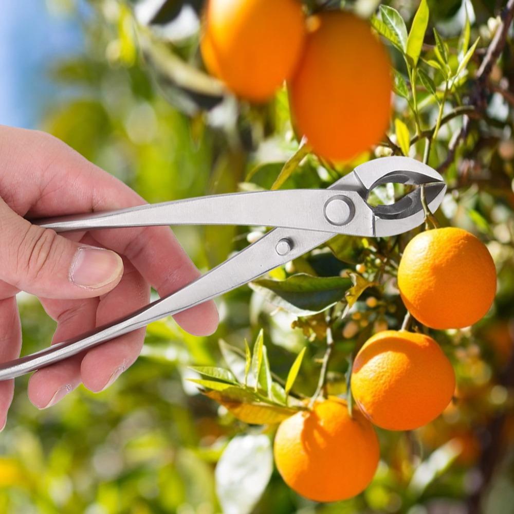 Stainless Steel Branch Cutter Ergonomic Handle Bonsai Scissors Professional Knob Cutter