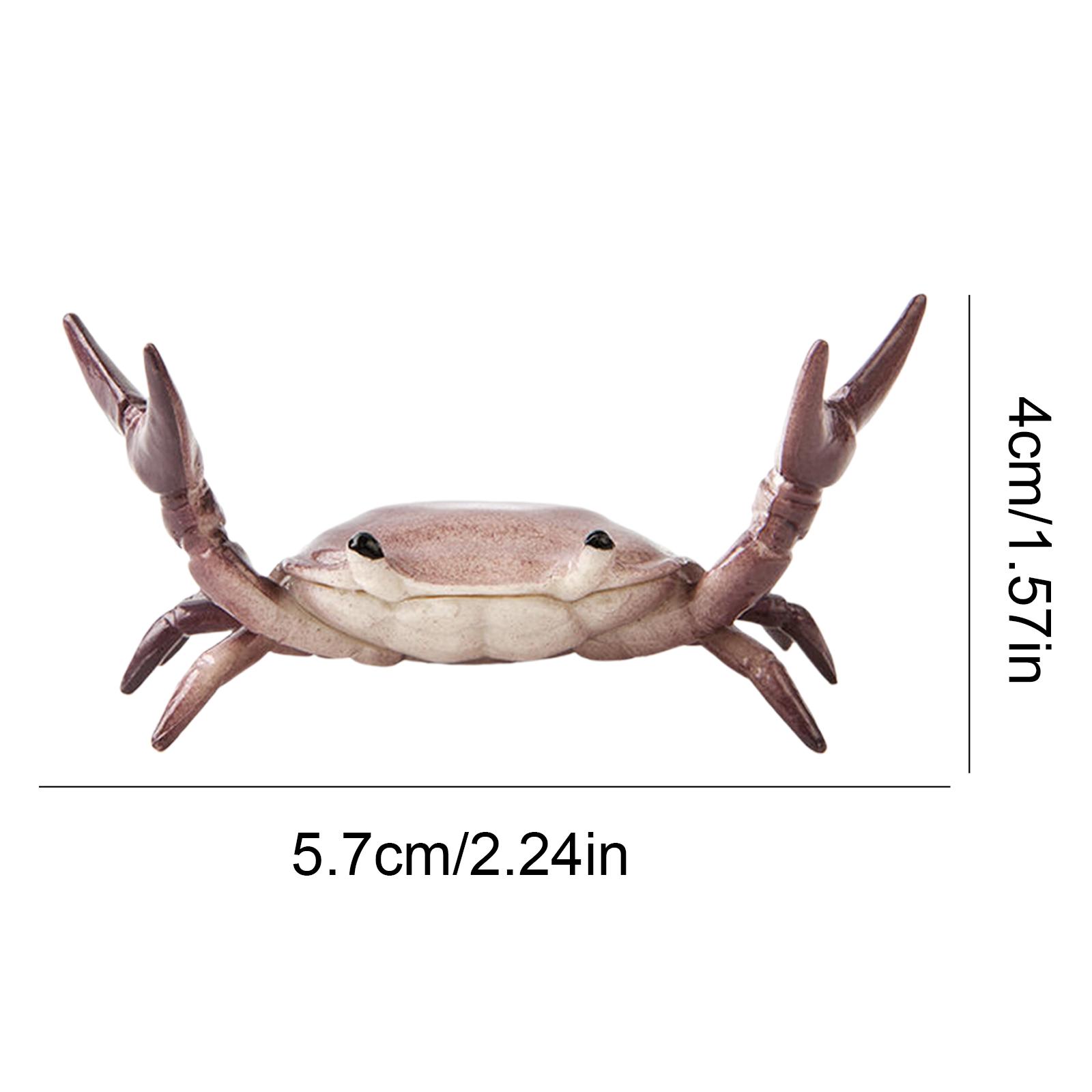

Portable Novelty Funny Crab Pen Holder Weightlifting Crab Desk Pen Stand Creative Pencil Rack for School Graduation Gift Office