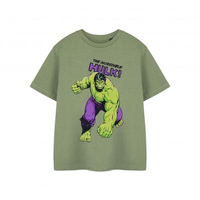 The Incredible Hulk Boys Short-Sleeved T-Shirt