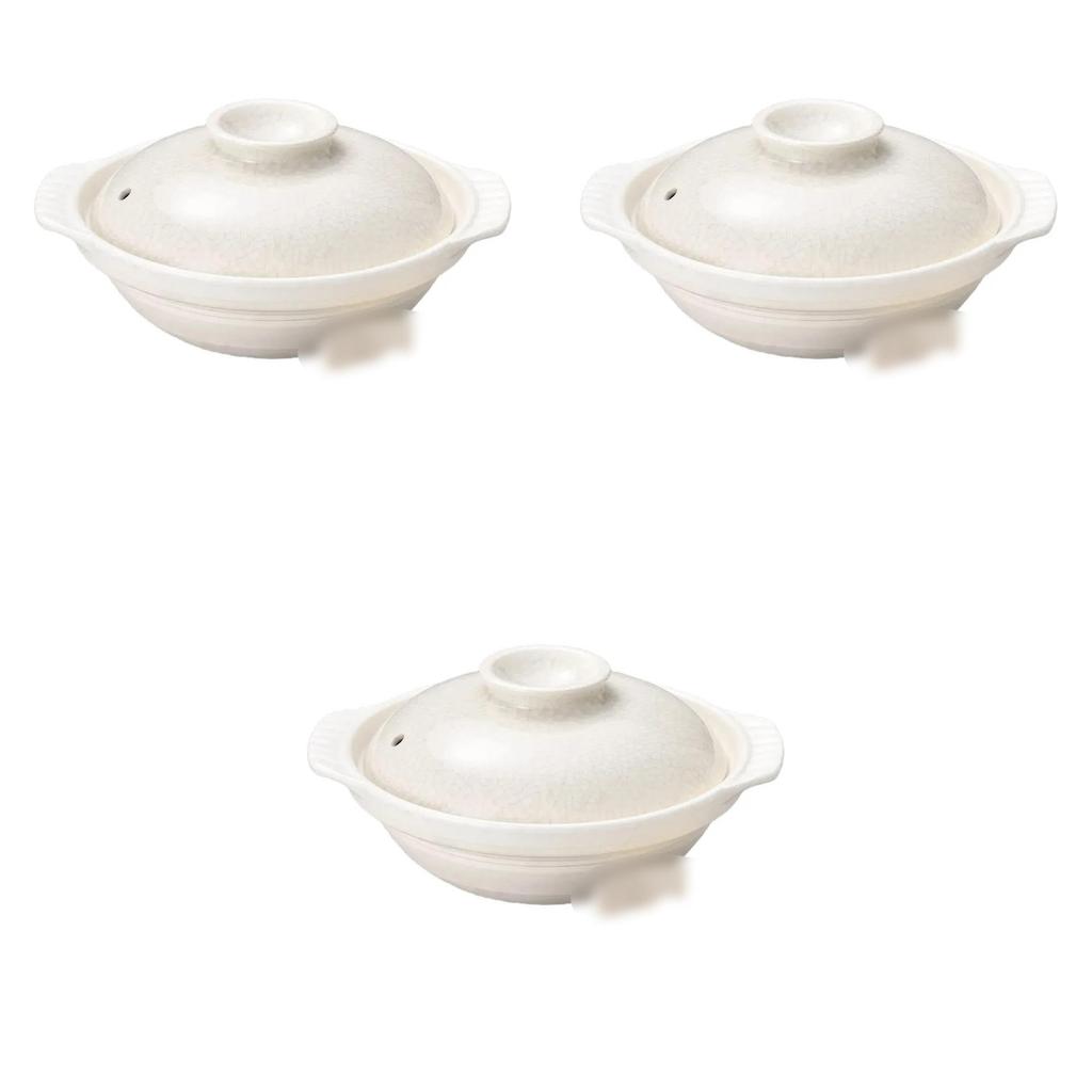 Set of 3 Ginpou Katsurin 8 Pots X X Banko Ware Earthenware Direct Fire Setomonohonpo No. [29.3cm 25.2cm 13.5cm] Pots, (Pot Only),