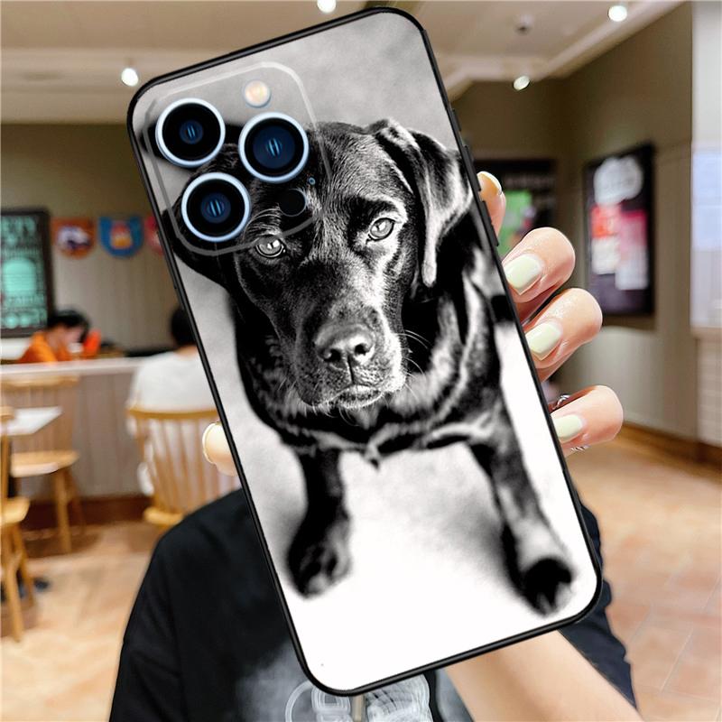 Black Labrador Dog Case For iPhone 17 16 15 14 13 12 11 Pro Max Mini Plus 16e 17 Air Bumper Cover Accessories