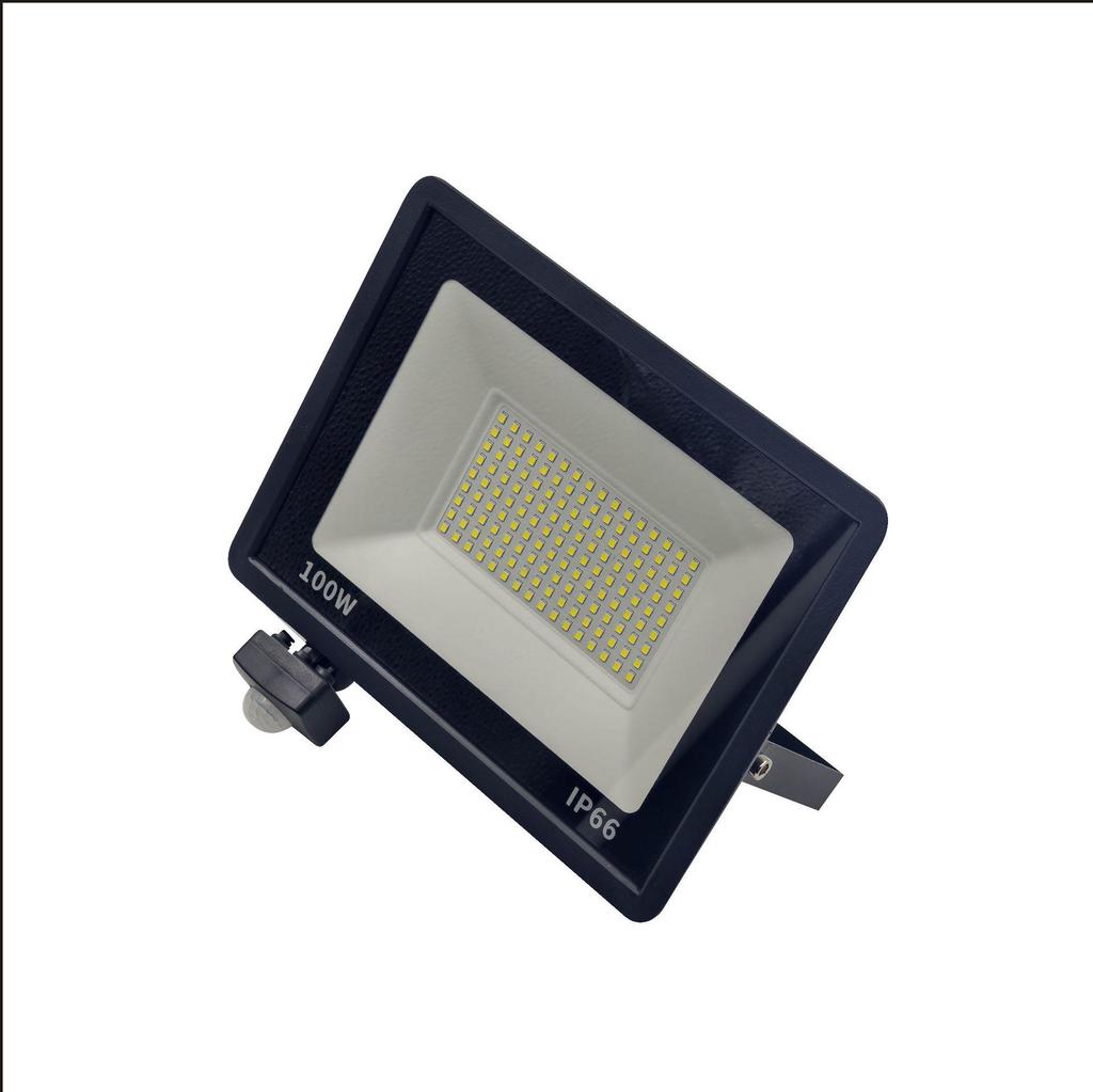 Remote-Control LED Floodlight with Human Body Induction, 110V Wide Voltage, for Outdoor Use in Europe and America