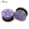 Alisouy 2PCS Stainless Steel Purple Star Screw Round Ear Gauges Tunnel Plug Expander Stretcher Earrings Piercing Body Jewelry