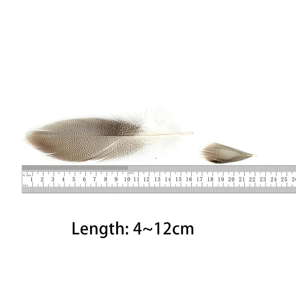 50Pcs Feathers for Fly Tying Fly Wing Tail Material Feathers Fly Tying Supplier for Cosplay Party Wedding Activities Carnival