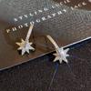 Octagram Earrings, Niche Design Sense, High-End Earrings, Trendy Temperament Stud Earrings