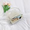 Pearl Woven Shoulder Bag Diagonal Square Handbag Mini Version Without Zipper