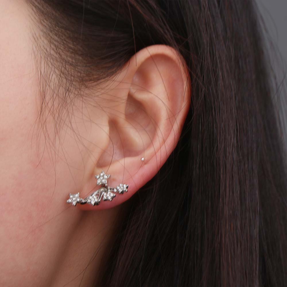 Elegant Sparkling Studs Light Luxury Zircon Earrings Women Star Crystal Earrings  Gifts