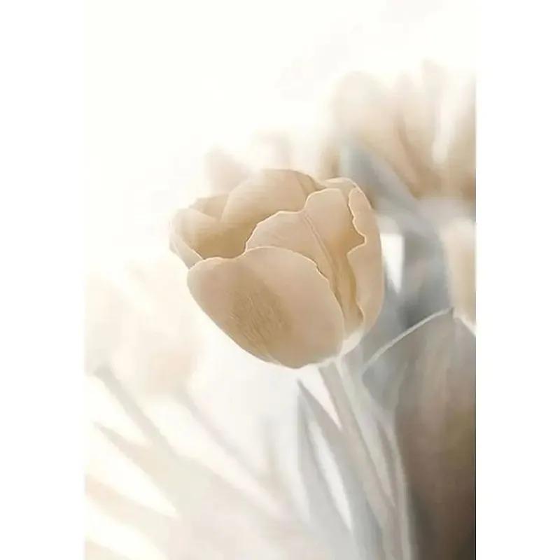 GATYZTORY Oil Picture By Numbers Nature Landscape Drawing Canvas Wall Art Oil  By Numbers Home Decor Gift