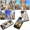 Phone Cover Cute Lama Llama Alpacas Casing for Xiaomi Poco F7 F6 F8 Ultra F5 X7 X6 X5 X3 NFC M7 M6 Pro C85 C75 C65 C71 C61 Case