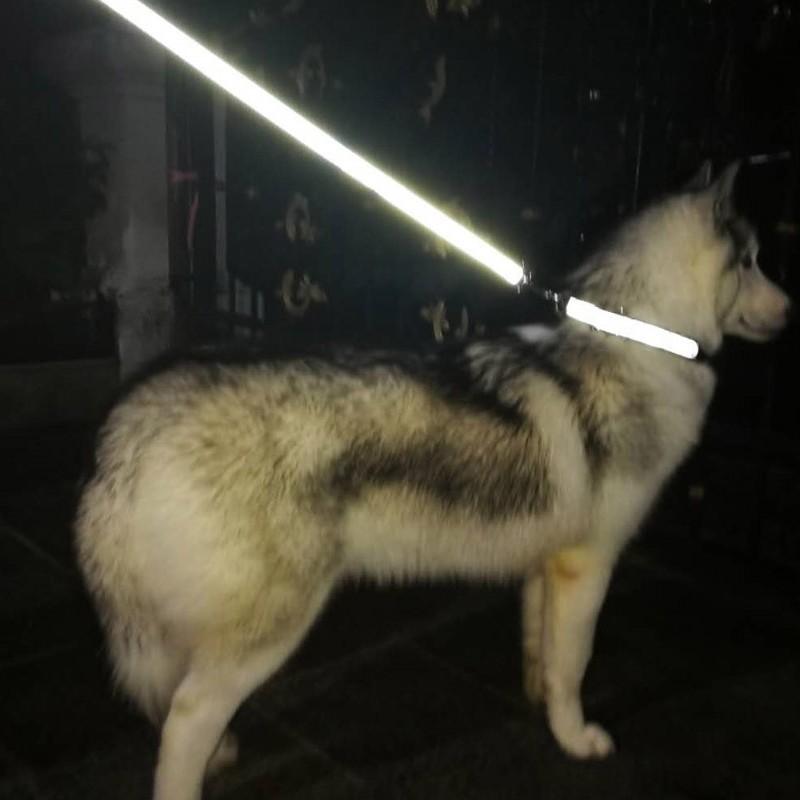 Large Dog Reflective Nylon Collar Leash Set Adjustable Sizes L XL Heavy Duty Pet Walking Gear