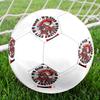 AFC Ajax Indoor Soccer Ball Colorful All Ages Machine Stitched PVC Competition Ready Durable High-Bounce