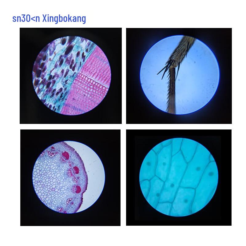 Snbokn YZ-20 1600x Professional Biological Microscope