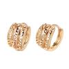 Stylish rose gold earrings, simple and personalized hollow flower earrings, ear buckles, accessories