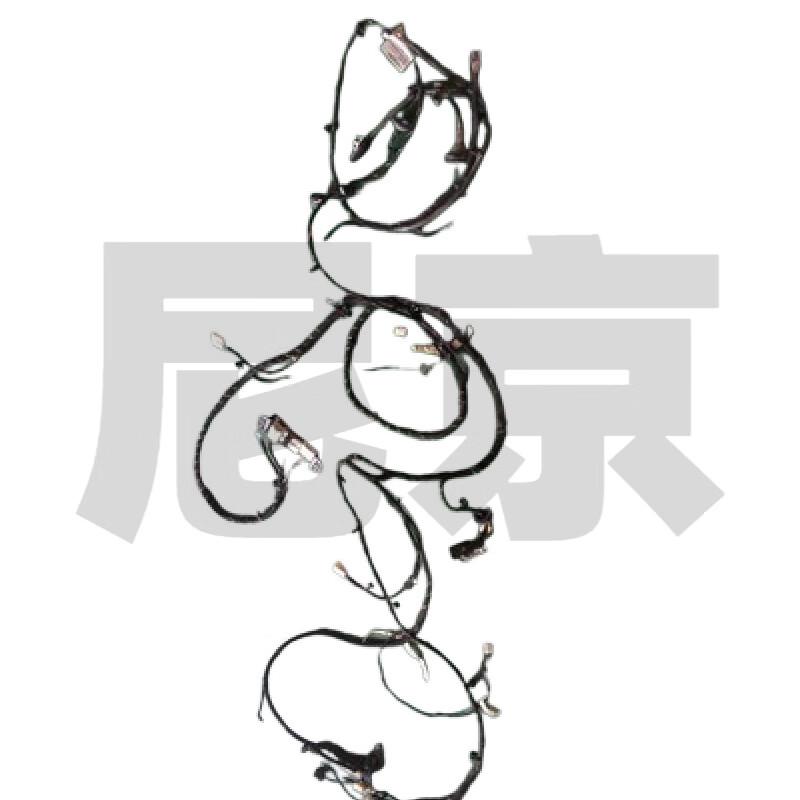 BAIC BJ80/151A/163 Body Wiring Harness Assembly