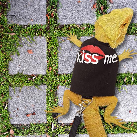 Lizard Reptile Leash Harness Set Adjustable Small Animal Harness with Traction Rope for Bearded Dragon Chameleons Outdoor Walking