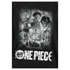 One Piece Live Action Childrens/Kids Poster Hoodie