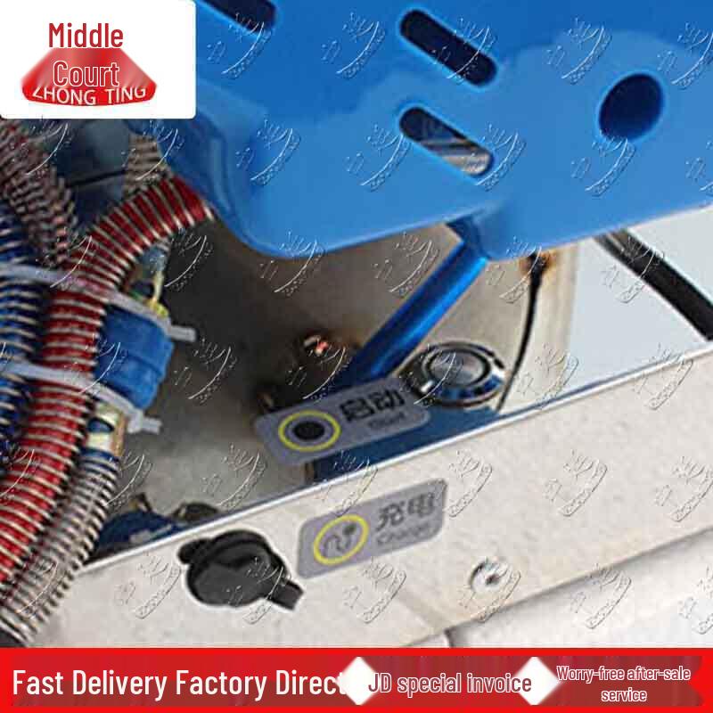 Zhongting 80-Model Gasoline Pulse Disinfectant Fogger