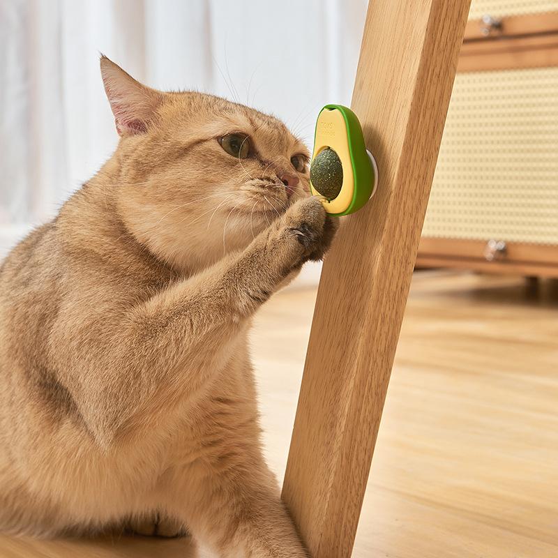 Avocado Shape Cat Catnip Wall Ball Toy Natural Silvervine Licking BallWall Mounted Dental CleaningTeethGrinding Kitten Oral Care
