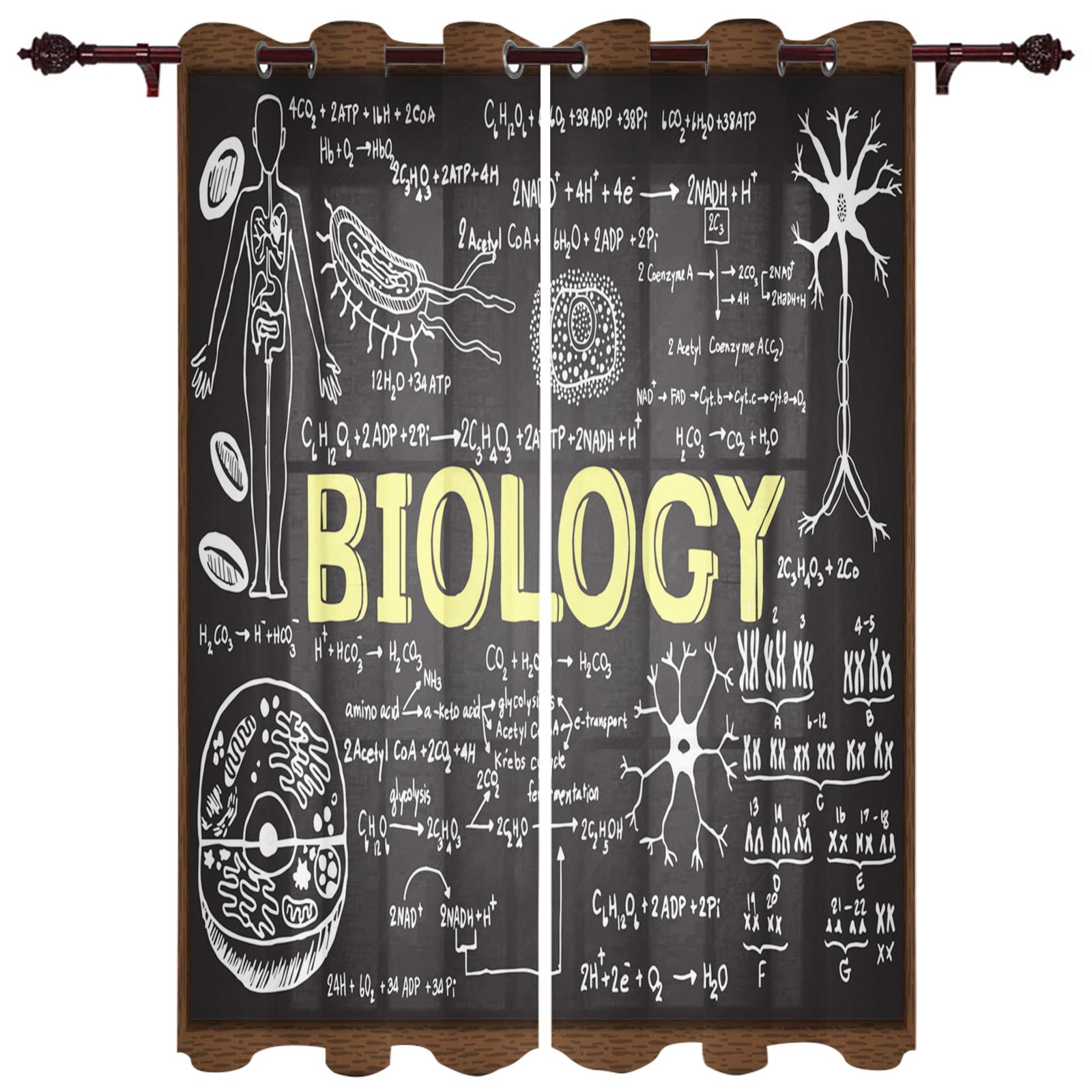 Современные оконные шторы для гостиной — фото 11