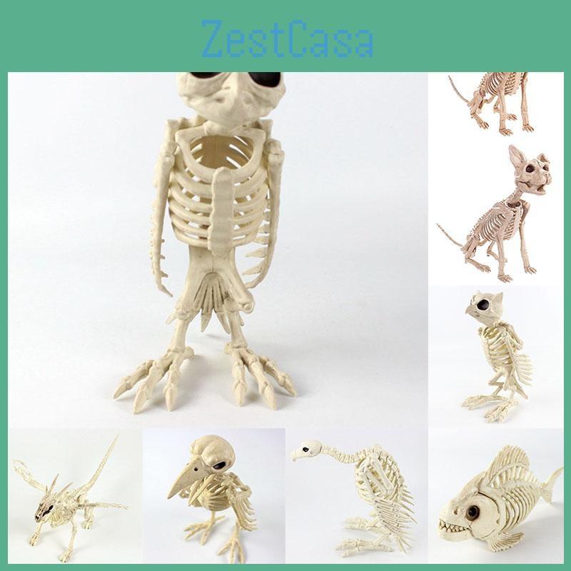 Halloween Cat Skeleton Dog Owl Prop Animal Bones Party Shop Horror Decoration