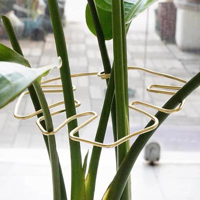 Yousheng 4Pcs Plant Pole Support Frame Reliable Plant Stem Support Easy To Use Indoor Garden Utility Tools for Monstera Bonsai