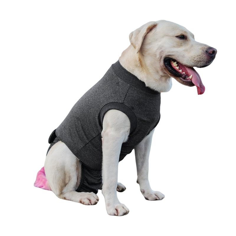 Pet Dogs Spaying Suit Recovery Vest