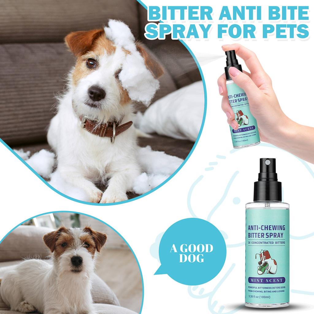 Bitter Spray For Dogs  No Chew Spray For Dogs Stop Chewing Biting And Licking Furniture  Indoor & Outdoor Use For Pet Behavior Training 100ml