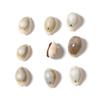 50g Pack Natural Double-Hole Small Shells, DIY Pendant Accessories