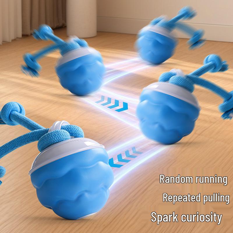 Rechargeable Smart Rolling Dog Toy: Automatic Sounding Teasing Ball for Boredom Relief