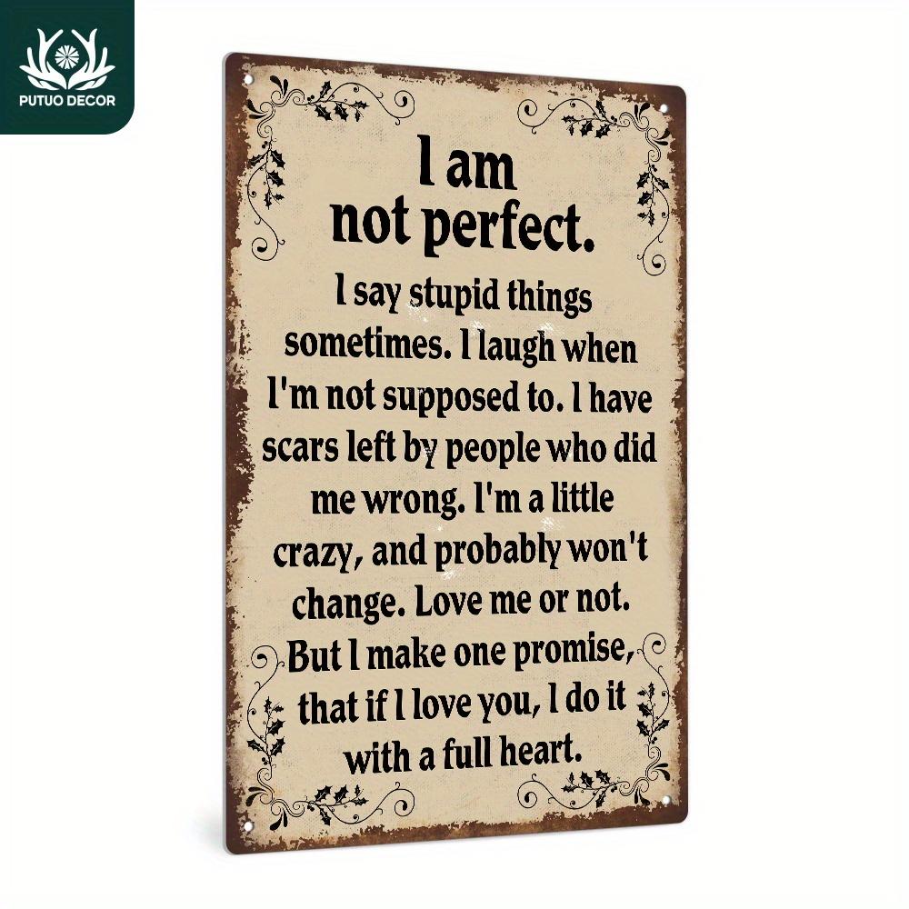 pc Vintage Metal Sign I Am Not Perfect I Say Stupid Things Sometimes I Laugh When Im Not Supposed To Wall Art Decor For