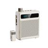 Portable Wireless Lapel Microphone & Amplifier: Ideal for Teachers, Tour Guides, Indoor/Outdoor Use.